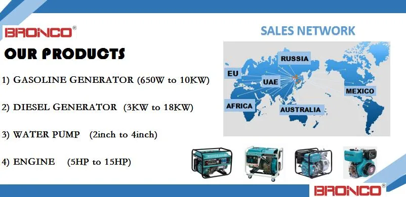 Bronco Diesel Generator 15kw/15kVA Two-Cylinder Air-Cooled Electric Starter Diesel Genset